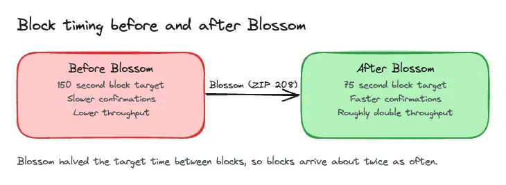 Before Blossom the block target was 150 seconds with slower confirmations and lower throughput. After Blossom the target is 75 seconds with faster confirmations and roughly double the throughput