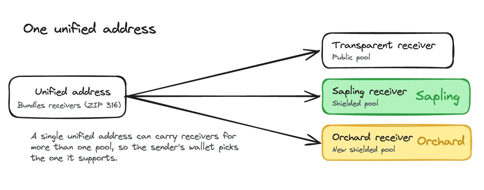 A unified address bundles receivers for several pools: a transparent receiver, a Sapling receiver, and a new Orchard receiver