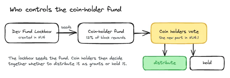 The NU6.1 governance flow: the Deferred Dev Fund Lockbox seeds the coin-holder fund, and coin holders decide whether to distribute grants or hold the funds