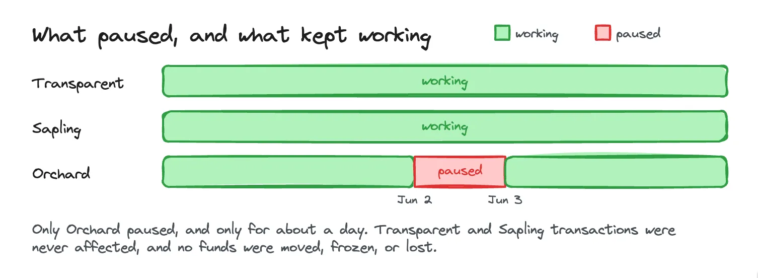 What paused and what kept working: transparent and Sapling transactions ran the whole time, while only Orchard paused for about a day between June 2 and June 3