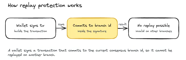How replay protection works: a wallet signs a transaction that commits to the current consensus branch id, so the transaction cannot be replayed on any other branch