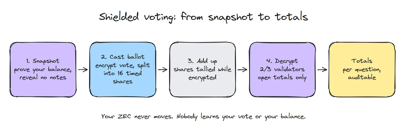 Shielded voting flow: a voter proves their Ironwood balance at a snapshot, casts an encrypted ballot split into shares, which are homomorphically tallied and then threshold-decrypted into totals only