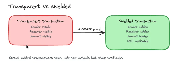 Transparent transactions expose sender, receiver, and amount, while Sprout shielded transactions hide all three yet stay verifiable